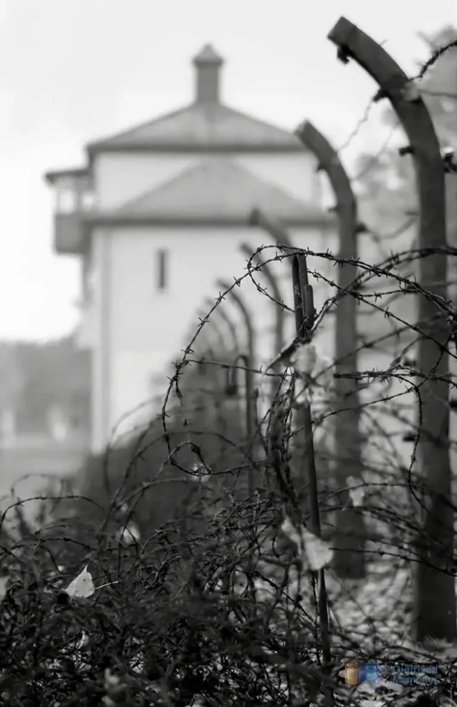 Photo of a fence at a concentration camp