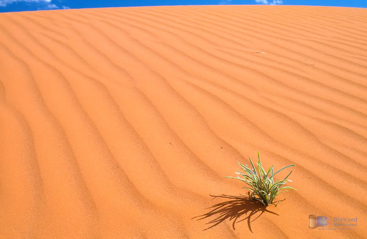 Photo of a dune with "wind waves"